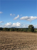 Terrain à la vente